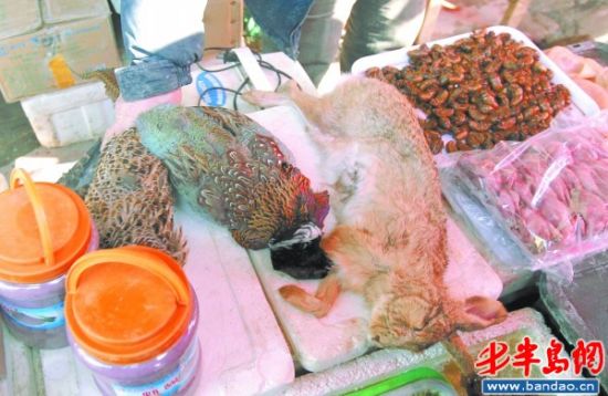 浮山后农贸市场一家摊位上的野鸡,野兔,斑鸠等野味