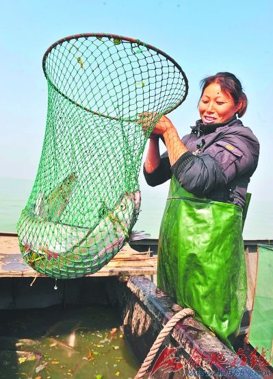 巢湖開湖捕魚記