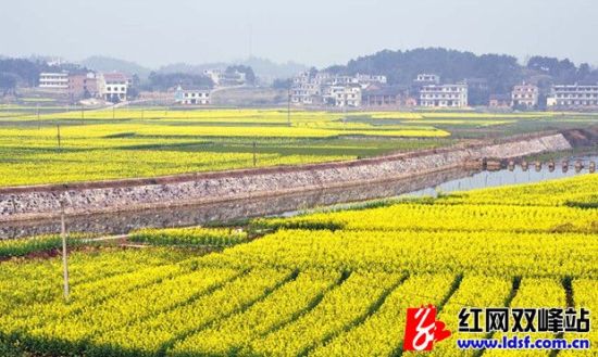 15公里;该镇历史文化悠久,镇东部的黄龙大山有蒋峰寺,金紫峰宝觉寺