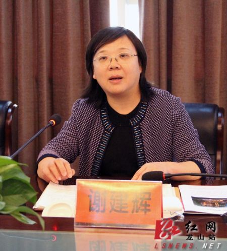 省商务厅厅长谢建辉在汇报会上对龙山商务工作作指导县委书记彭正刚