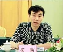 杨勤