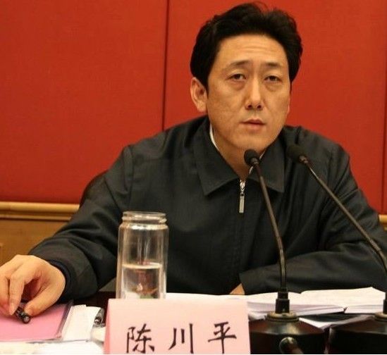 山西省委常委太原市委书记陈川平接受调查