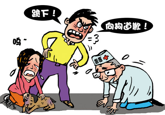 狗被治死主人吵上门