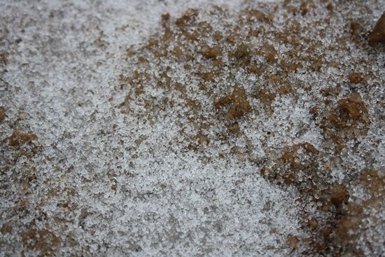 冰粒(图片来源于网络)