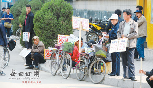 陇南招工信息：用工需求与求职机会并存