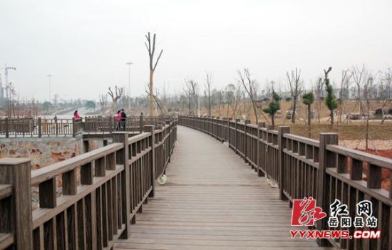 岳阳县荣湾湖大桥建设图片