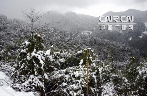 四川華鎣山區再降中到大雪 雪景迷人[圖]