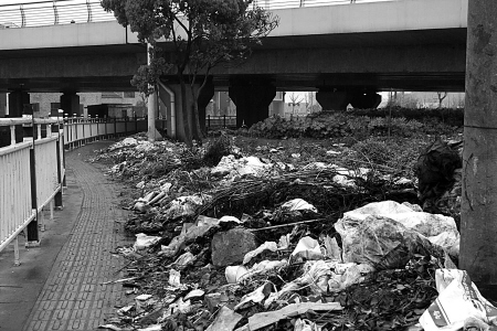 腐烂发臭脏乱不堪 长丰桥边垃圾遍布谁来管?