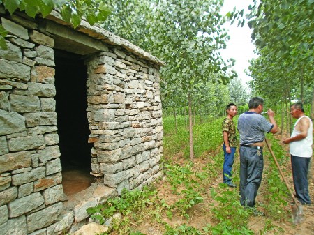 多名村民称看到狼出没 小山村已20年未见狼影