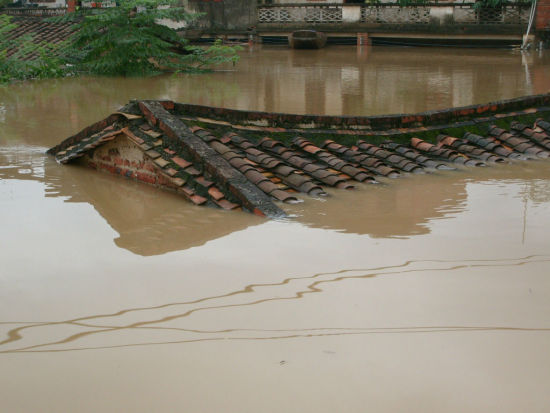河南庄稼被淹图片图片