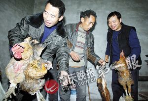 九盘村受助村民们拿来腊肉、土鸡，给“奥迪哥”（右）拜年。 　　记者 张质 摄