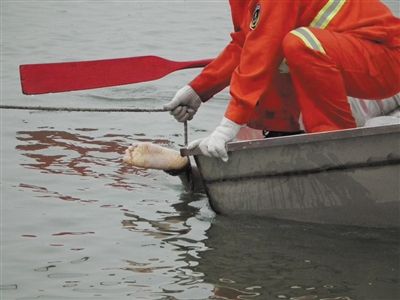 2名高中毕业生江边游玩溺水身亡(组图)