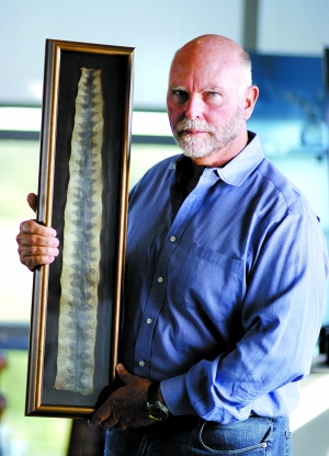 文特尔的试验成果究竟能不能被称为"人造细胞"或"人造生物"?