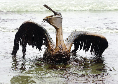 墨西哥湾漏油井永久封堵(图)