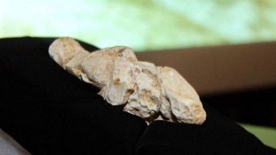 法国发现23万年前女性雕像凸显女性特征