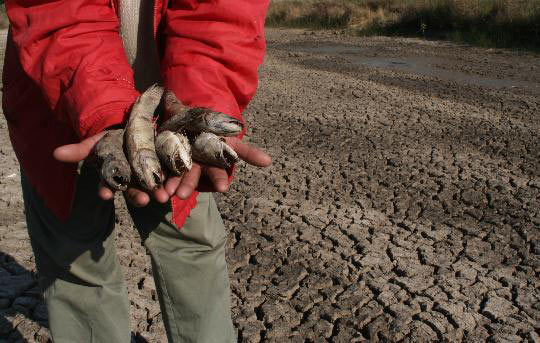 组图:巴拉圭发生严重旱灾河流干涸
