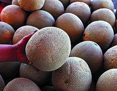 美国哈密瓜毒死8人(图)