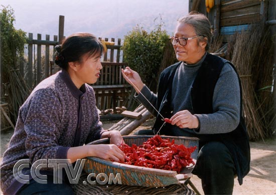 资料图片:电视剧《插树岭》精彩剧照(1)