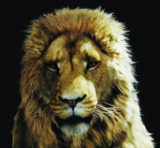 阿斯兰狮王图片