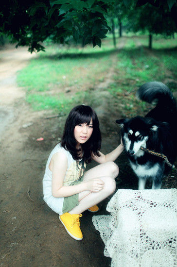 本兮音乐会筹备中 圣诞礼物想要雪橇犬