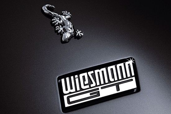 wiesmann标志然而花无百日好,如今却惊传wiesmann已向德国münster