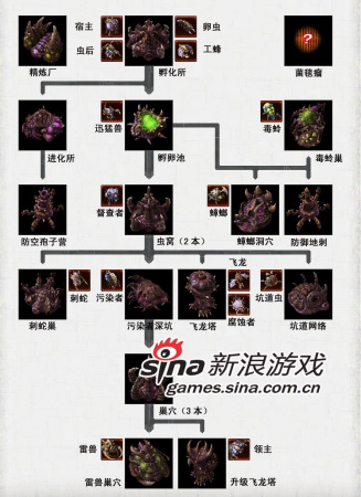 《星际2》虫族科技树中文版及解析