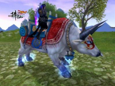 白牛——稳重憨厚