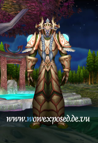 资料片t4套装试衣间德鲁伊