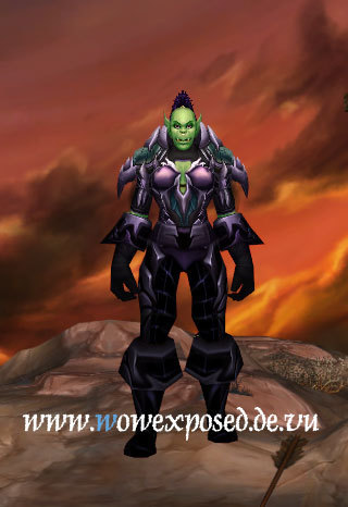 资料片t4套装试衣间盗贼