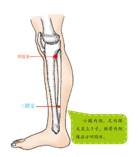 按这个穴位补肾又健脾