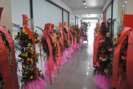 门口摆满道贺单位花篮