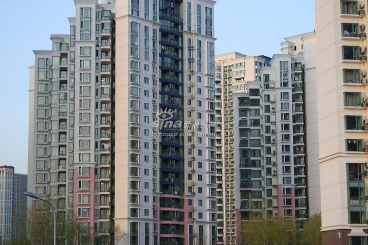 万科星园四期(北奥国际) 实景图 楼盘外观