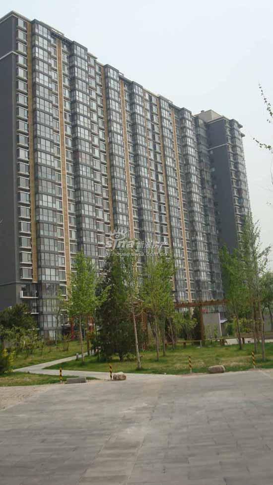 慧谷金色家园 实景图 项目外观