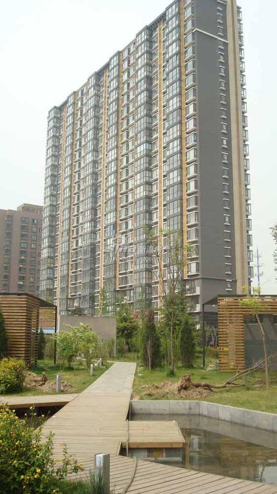 慧谷金色家园 实景图 项目外观