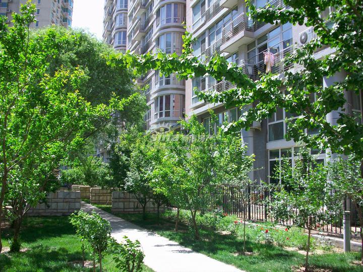 远洋风景 实景图 楼体实景