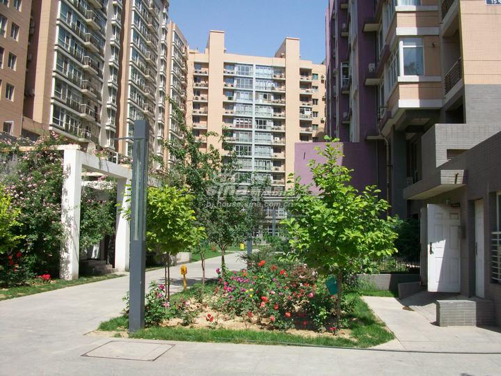 远洋风景 实景图 楼体实景