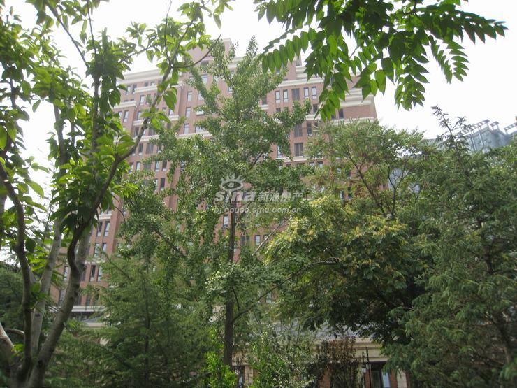 红山世家(西堤红山) 实景图 楼盘实景