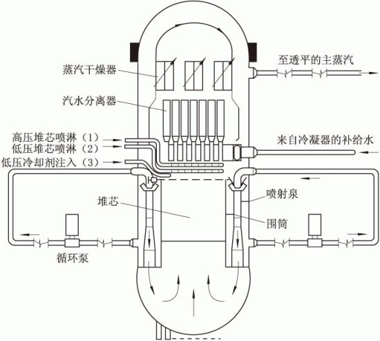 循环泵内部构造图片