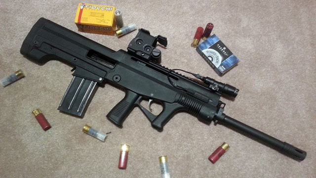 中国95枪族又出新成员 销加拿大售价4500