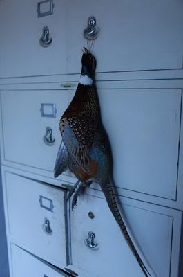 中国式狩猎:北京郊区狩猎场探秘