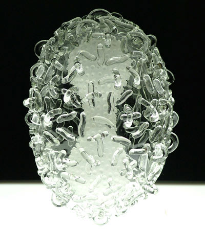 天花病毒复杂的结构,这种病已经在29年前被彻底铲除