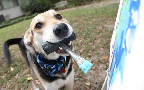 山姆很享受把画刷叼在嘴里的感觉