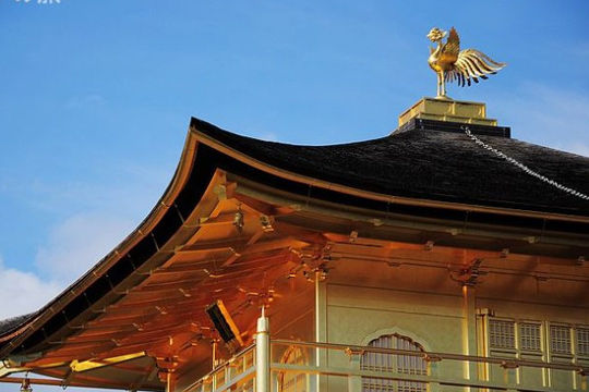 近看金光灿灿的金阁寺