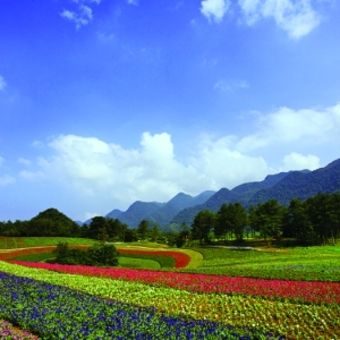 地处重庆市巫溪县西北边缘,县城西北80公里处,是三峡黄金旅游带大