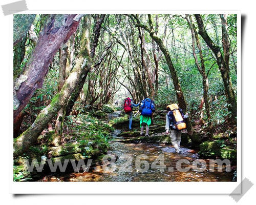 亚洲 中国 湖南 正文  几年户外下来,在我们蜗牛人的脚下,一些不为人