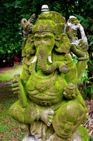 黑白相映 象鼻神灵