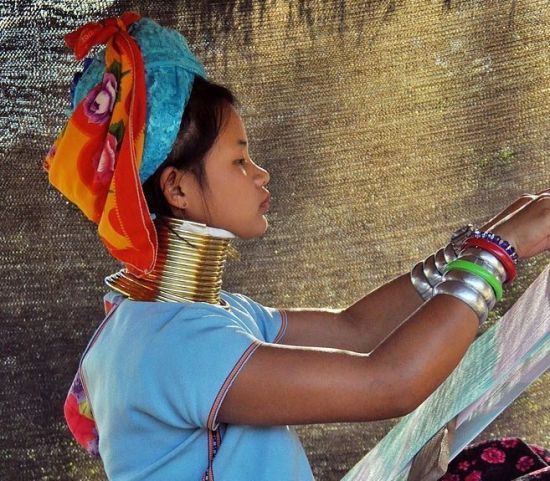 脆弱的生命 一生的枷锁