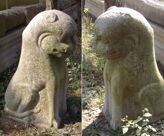 最完整的一对石虎,肃立甬道两侧,可能是明墓旧物.