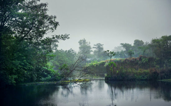 组图:行摄杭州 在醉雨如烟的天堂