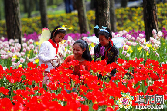 护花高手在都市